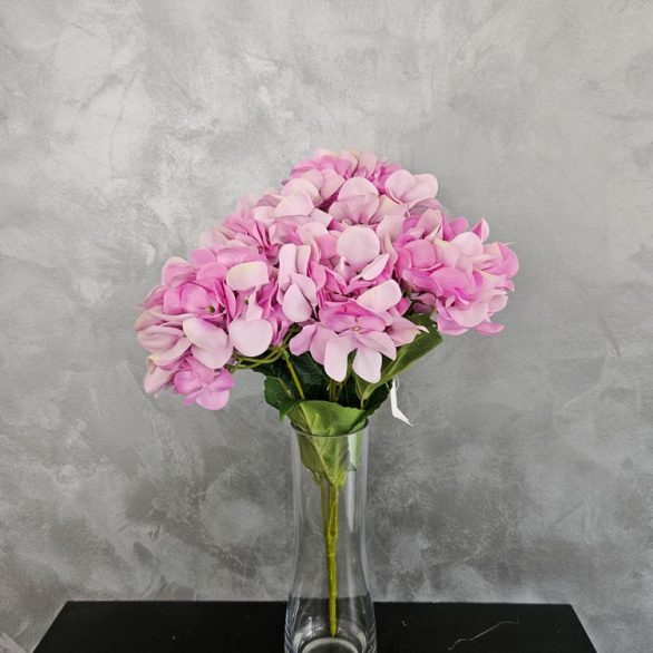 Hortenzija 05