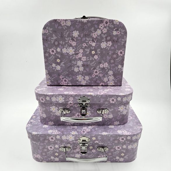 Box kofer 06