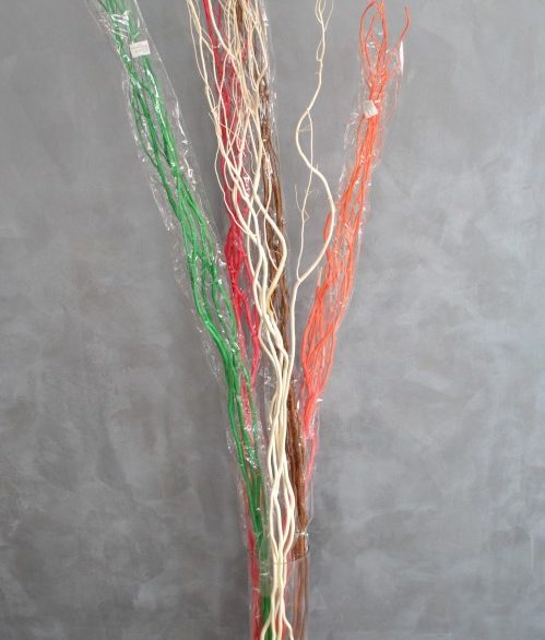 Salix grane